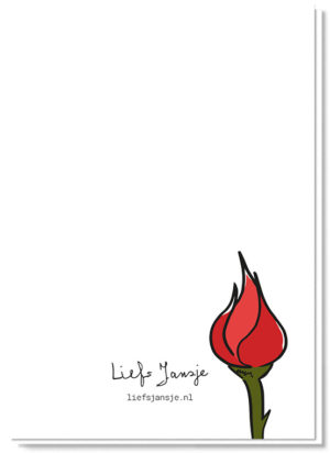 Achterkant bloemenkaart met daarop een roos in de knop