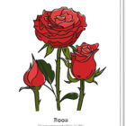 Voorkant bloemenkaart met daarop 3 rozen, waarvan 1 in de knop. Met daaronder de betekenis van de roos 'Onvoorwaardelijk liefde'