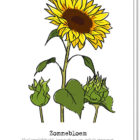 Voorkant bloemenkaart met daarop een zonnebloem en 2 in de knop, daaronder staat de betekenis 'Veel vrolijkheid, levenslust en geluk gewenst'