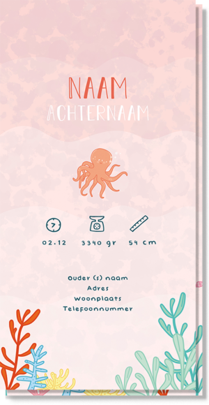 Achterkant geboortekaartje Octopus met daarop de naam van het kindje, tijd van geboorte etc