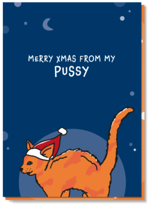 Voorkant kerstkaart met daarop een rode kat met een kerstmuts op en de tekst "Merry Xmas from my pussy"
